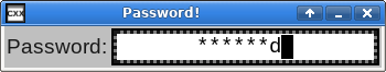 Password input